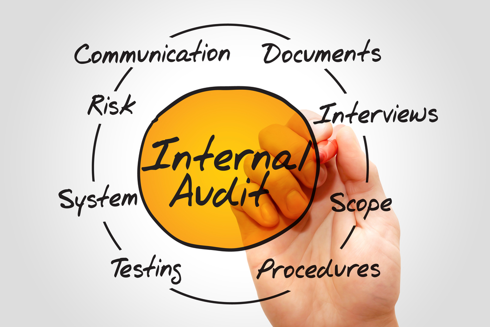 Internal audit guide article main image
