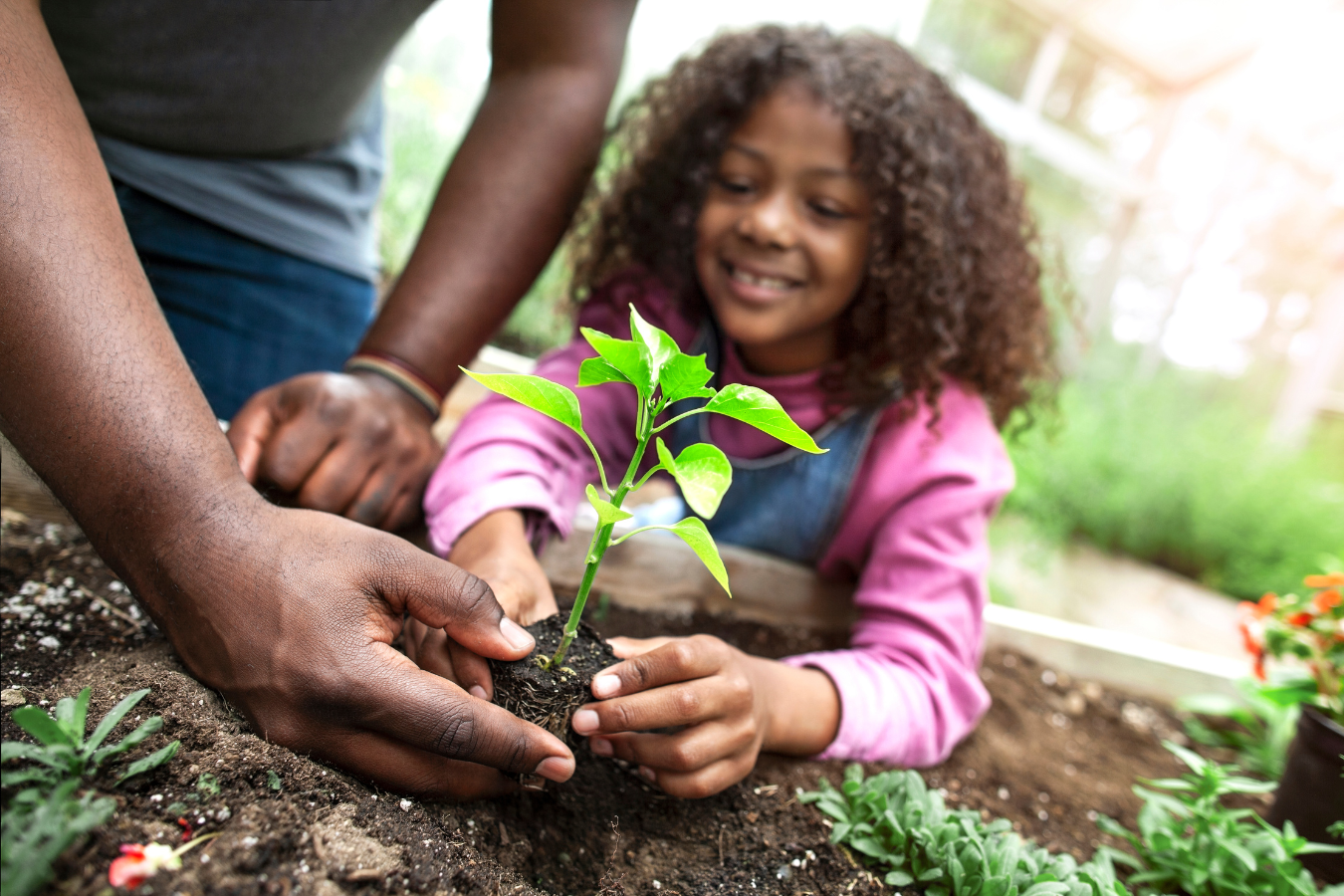 Community garden tended to be a young girl and her parent. ERP software for community development organizations help you embrace digital transformation to effectively drive positive change.