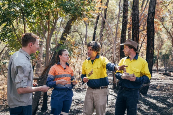 A group of environmental workers standing in a forest, discussing conservation plans, representing environmental nonprofits working to protect land, water, and ecosystems.